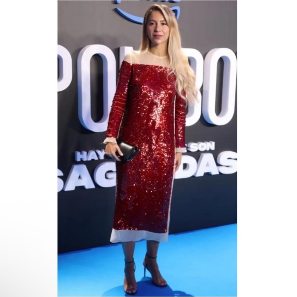 ZARA SEQUIN CHIFFON DRESS ZW COLLECTION - Picture 8 of 12